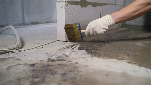 24/7 Emergency Exterior Waterproofing experts in Grand Ledge, MI
